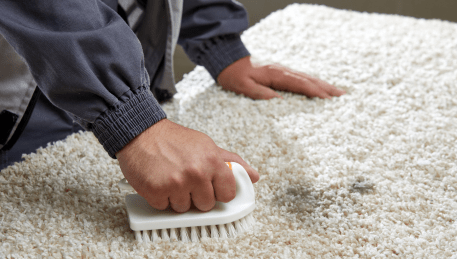 Professional Rug Cleaning Pines Forest
