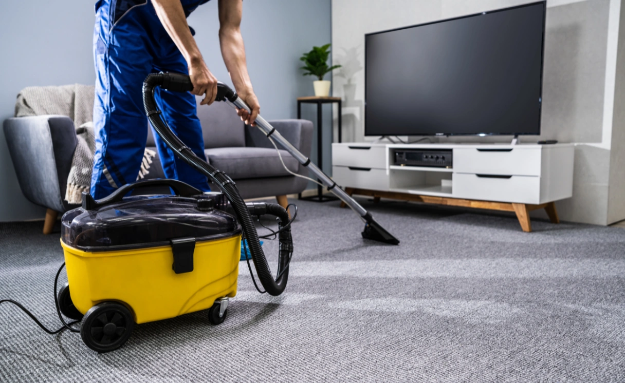 Extract Rug Cleaning Pines Forest Contact Office